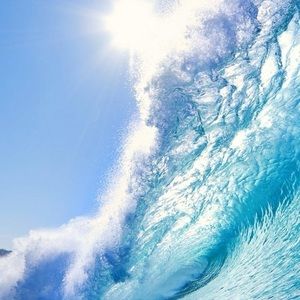 Meet your Posher, Felecia